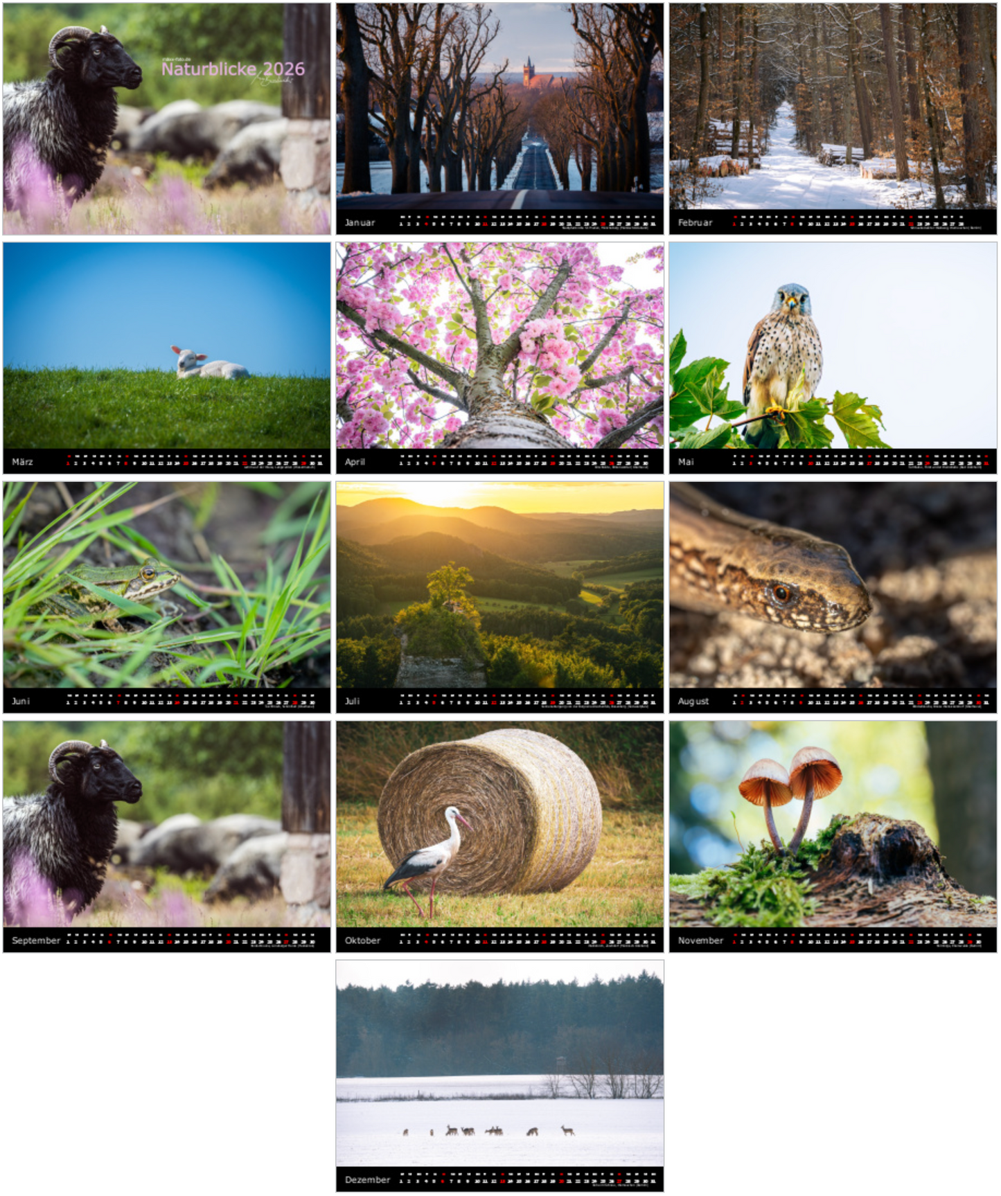 Kalender Naturblicke 2026 A4 Quer