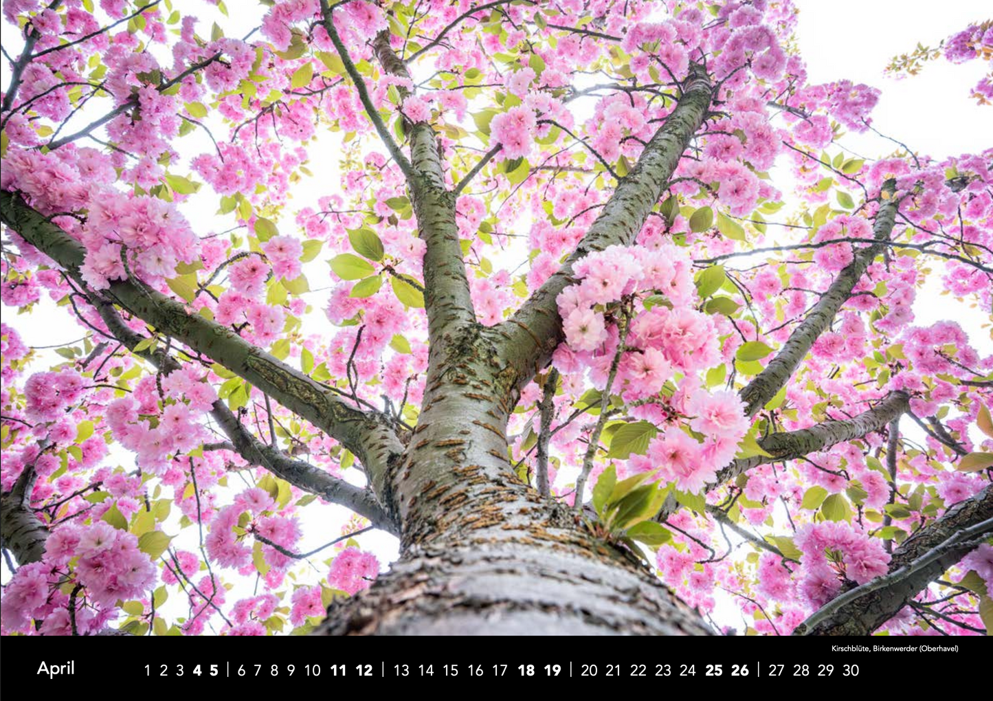 Kalender Naturblicke 2026 A4 Quer