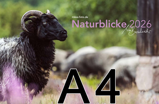 Kalender Naturblicke 2026 A4 Quer