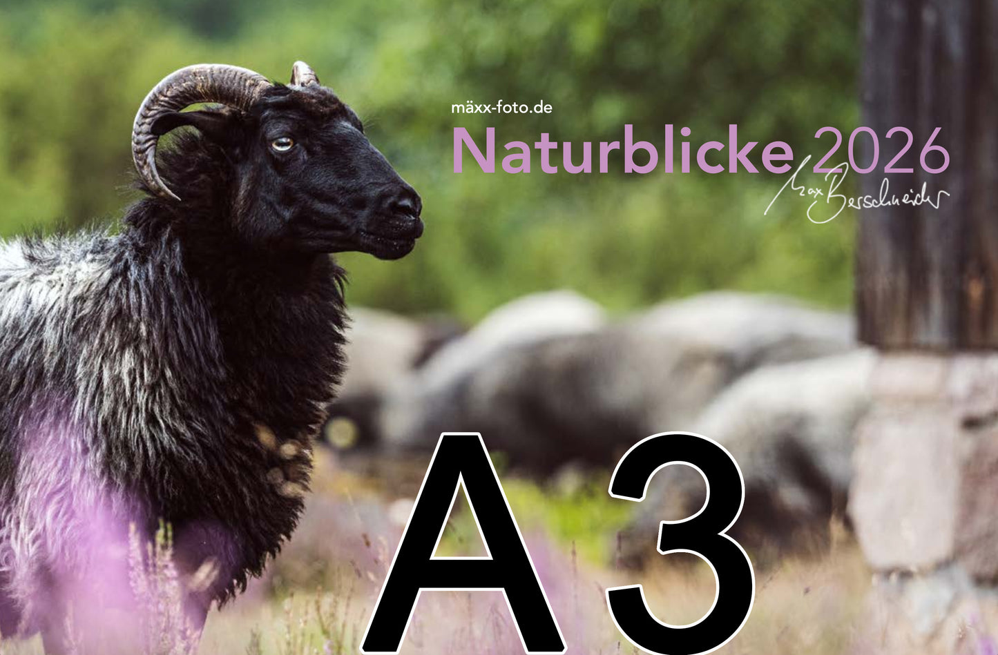 Kalender Naturblicke 2026 A3 Quer